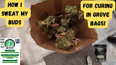 How I Sweat PSGX Pink Satan, White Choc Charlie, & Ethos White Wedding Medical Cannabis for Curing!