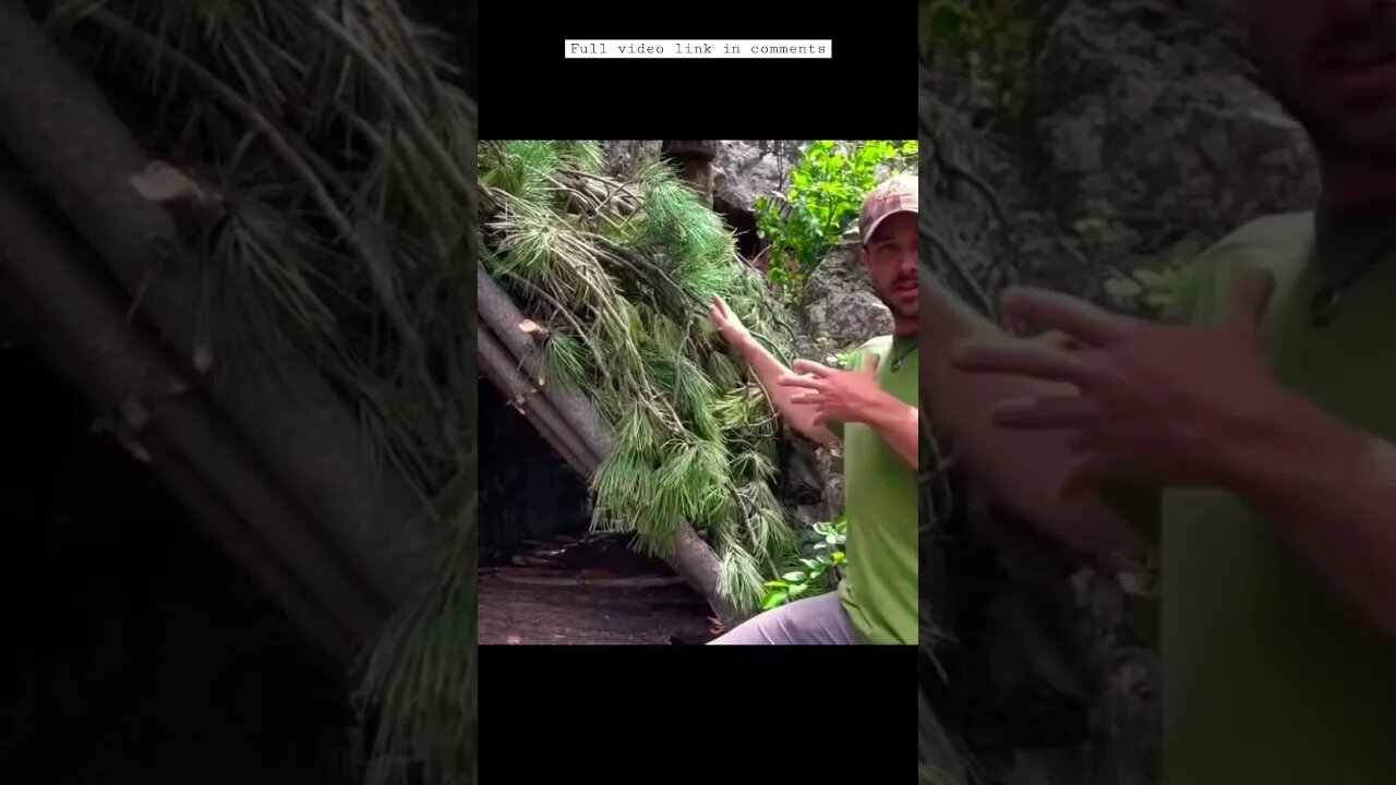 Building a Primitive Shelter with A Pine Needle Roof