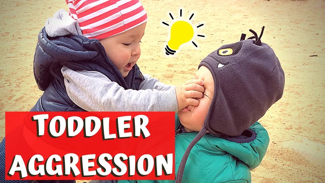 WHAT TO DO ABOUT AGGRESSION Toward Others in TODDLERS & Small Children