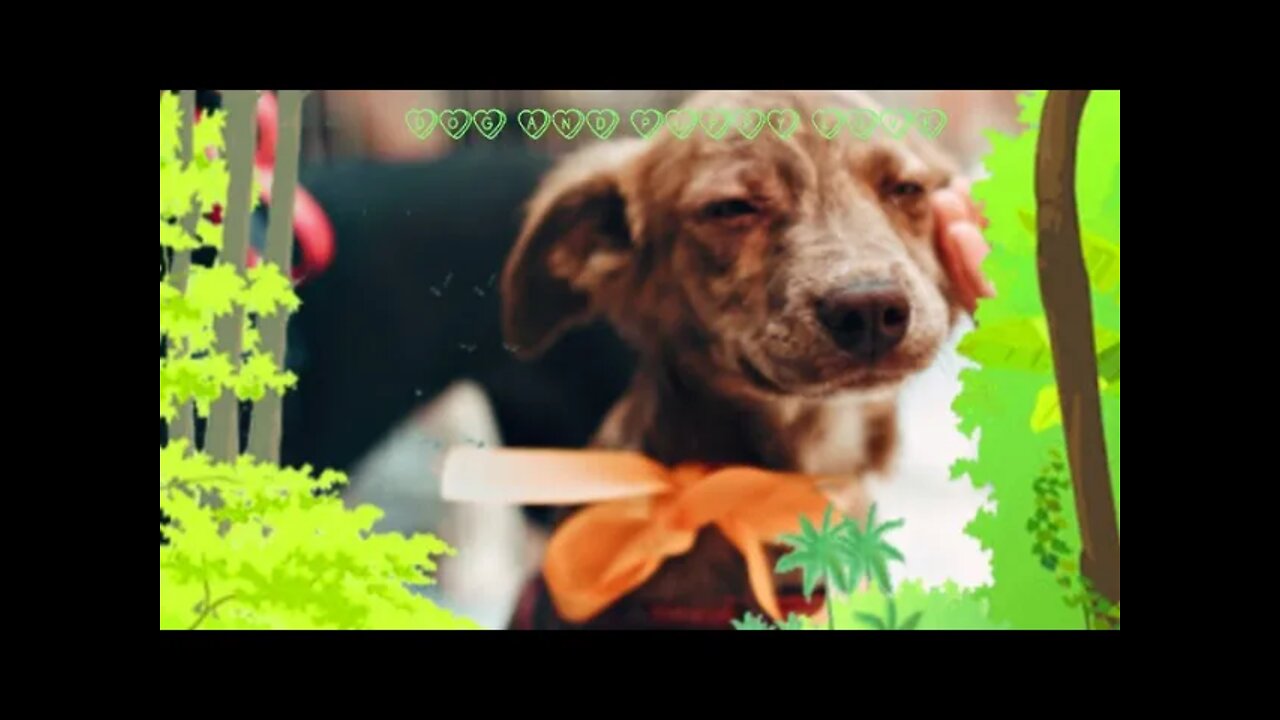 Cutest dog and puppy love moments, #Shorts, #Cute dog, # puppy, #Dog and puppy love, #Animal,#viral