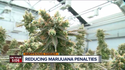 City council to discuss lowering penalty for marijuana today