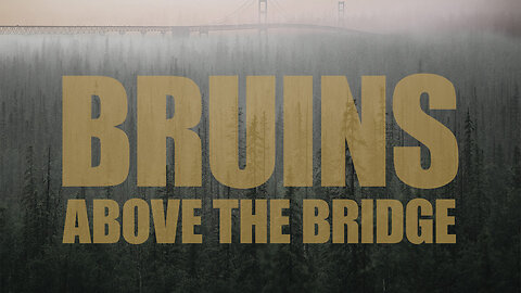 Bruins Above the Bridge