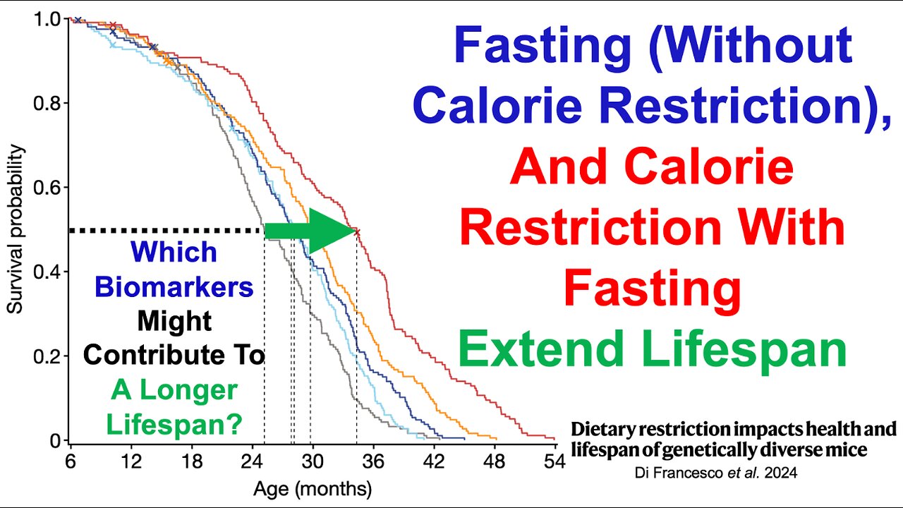 Fasting (Without Calorie Restriction) And Calorie Restriction With Fasting Extend Lifespan