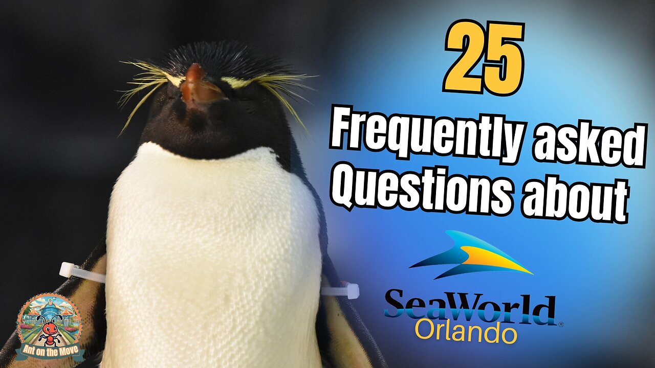 25 Frequently Asked Questions about SeaWorld Orlando