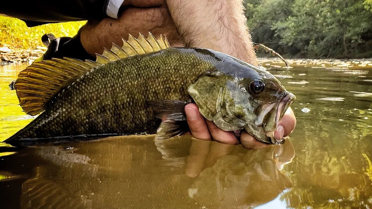 This fishing lure can catch fish in ANY conditions or season!