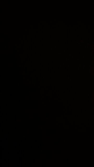 Different clown 🤡