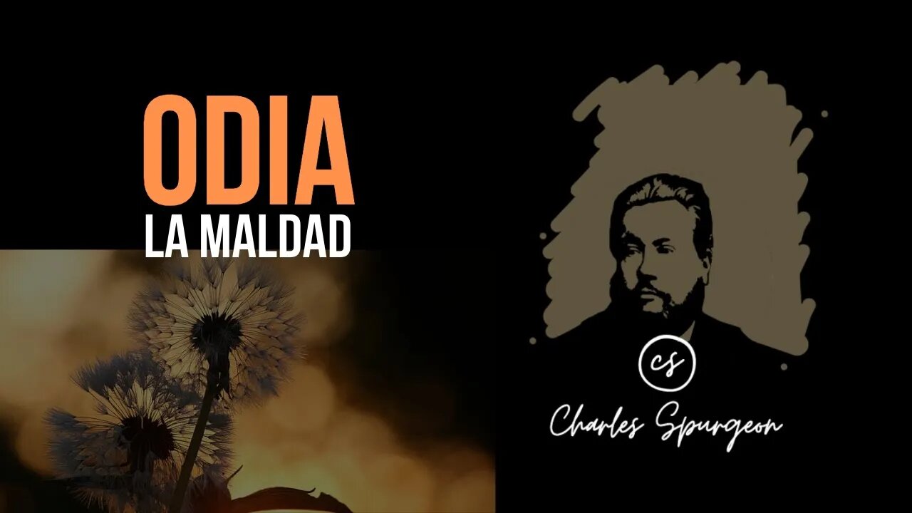 Odia la maldad (Salmo 45:7) Devocional de hoy Charles Spurgeon