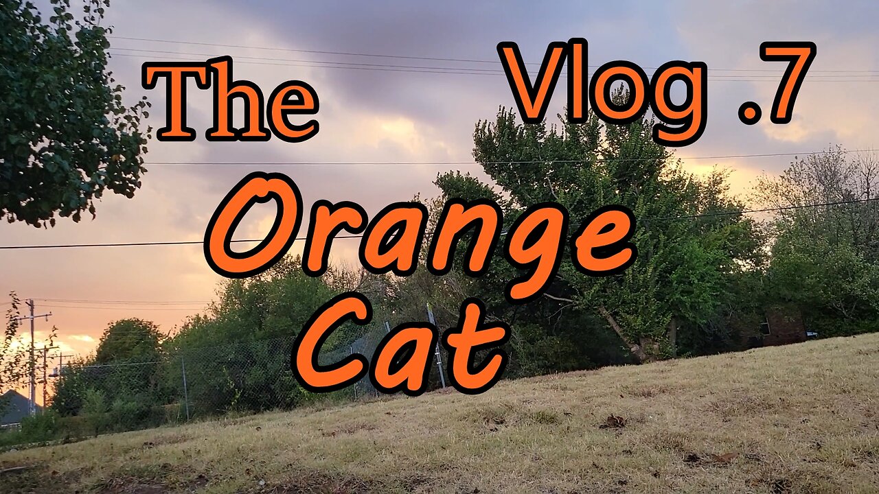 The Orange Cat: Vlog 7 | Wavy Scott Dayz