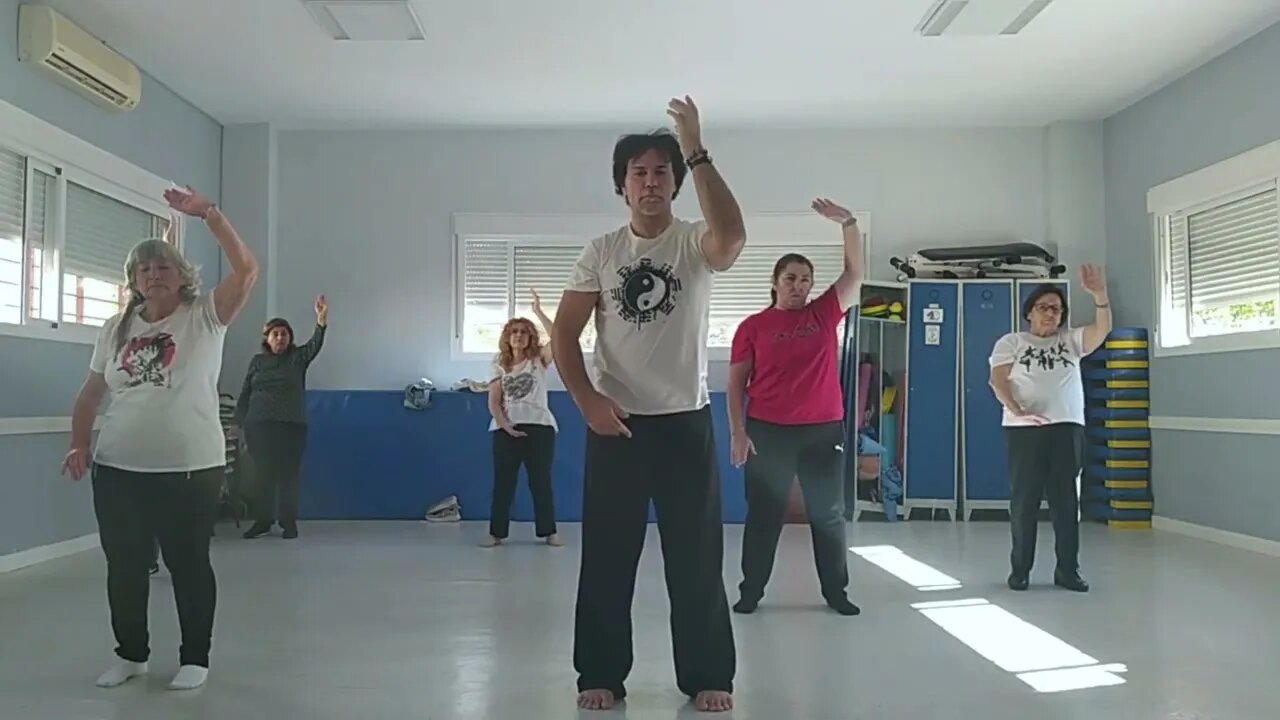 Qi gong serie de Torsión