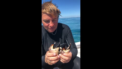 Stone crab fishing