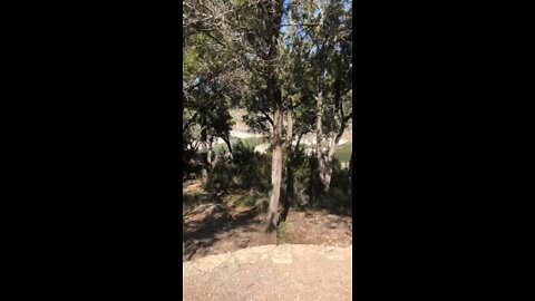 Overlook at Perdanales falls in dry season