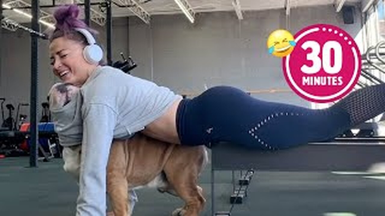 Dog Slips Into Woman's Workout 😯 | FUNNIEST Pets Of The Year...So Far