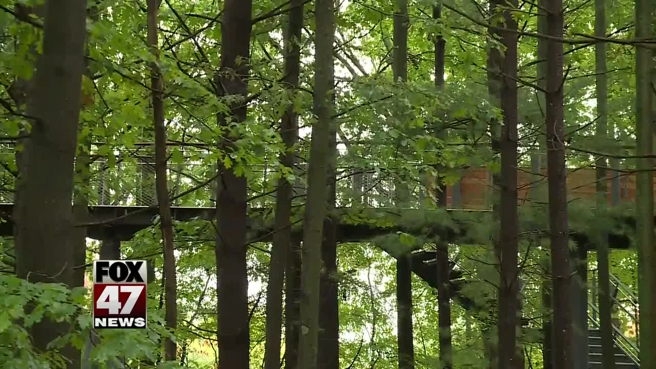 Longest canopy walk in the country opens this weekend in Michigan
