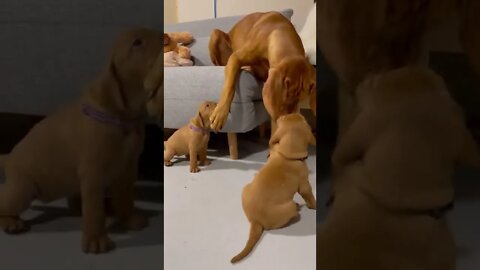 I am not your mother!