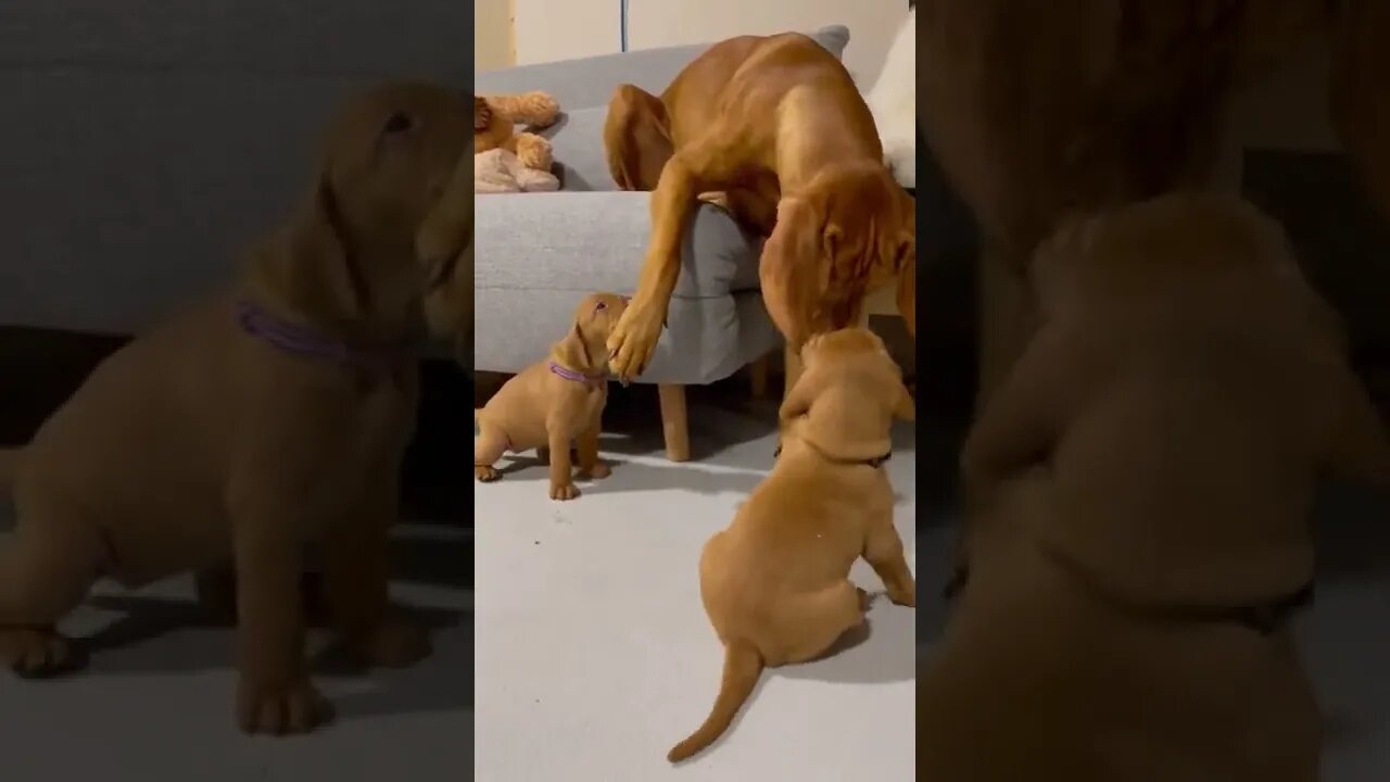 I am not your mother!