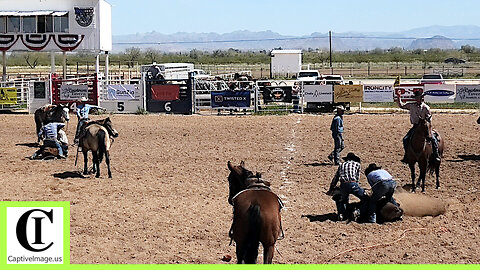 Stray Gathering - Rail 3 Ranch Rodeo