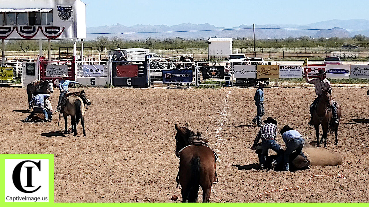 Stray Gathering - Rail 3 Ranch Rodeo