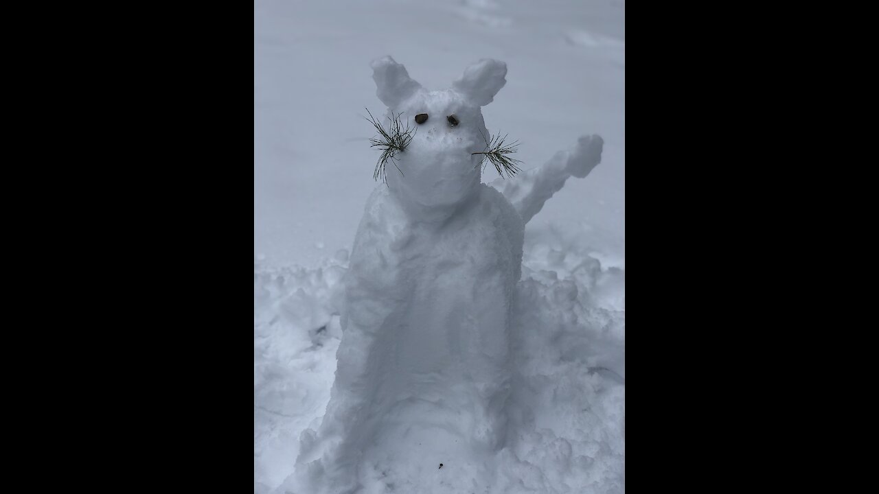 Dog destroys snow-cat with extreme prejudice