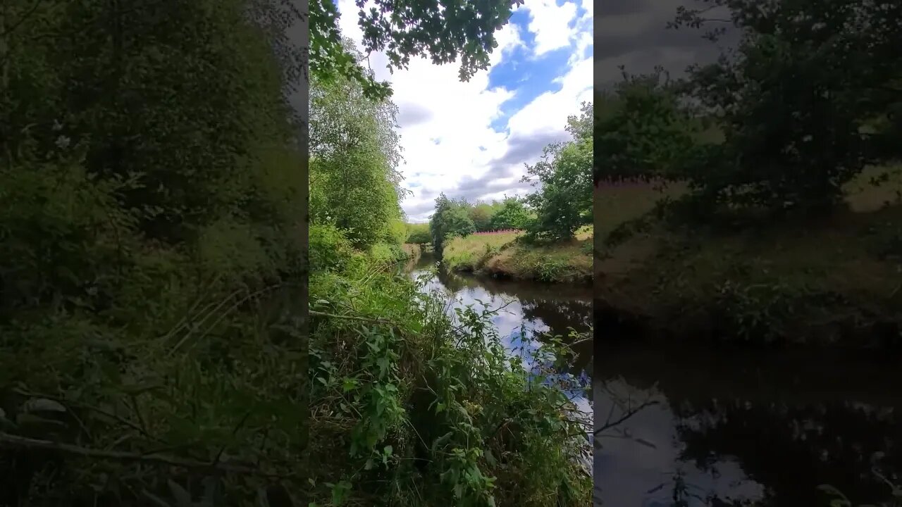 Paradise #nature #yorkshire #river