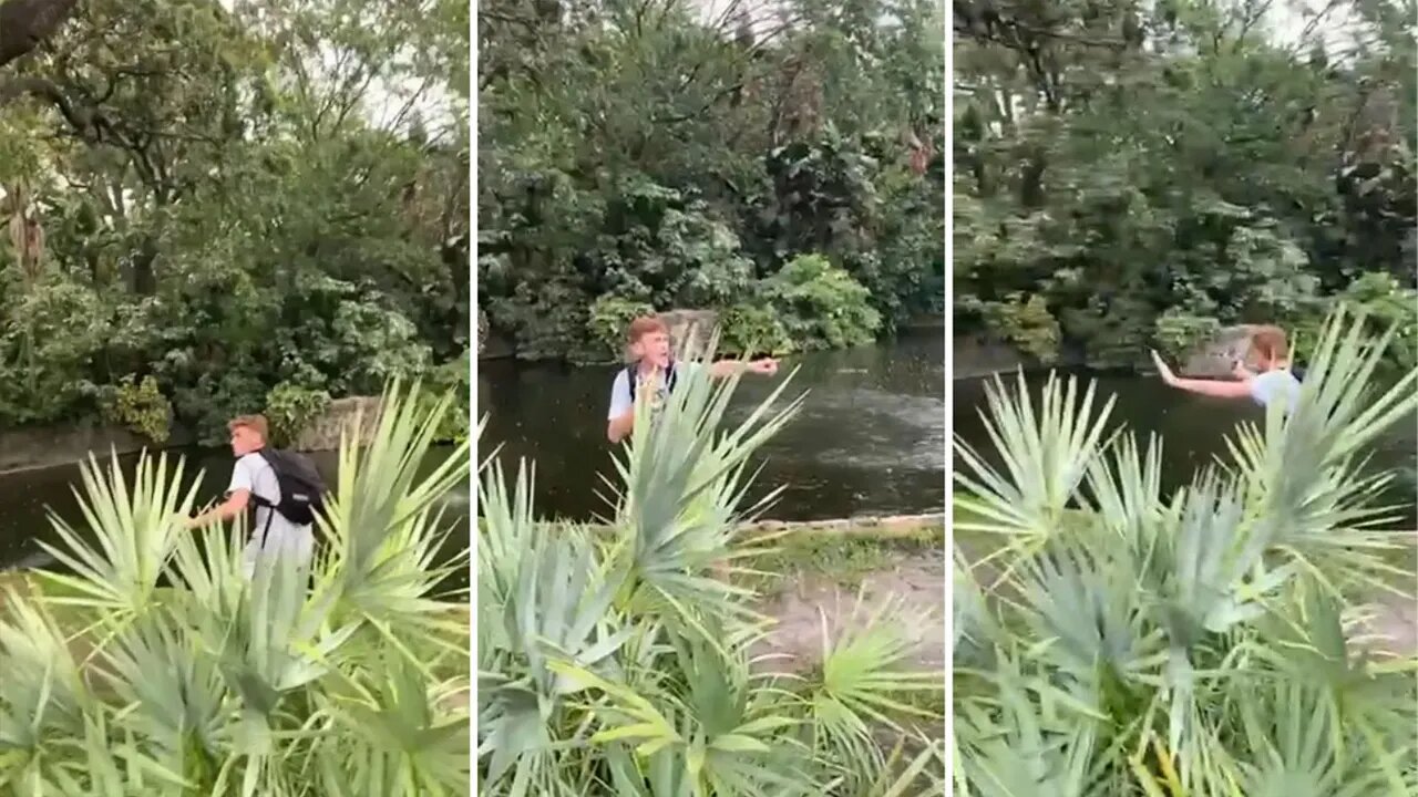 Man jumps into Busch Gardens' alligator exhibit in Florida: See the video