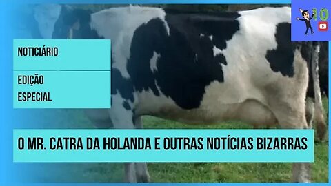 NOTICIÁRIO- O MR. CATRA DA HOLANDA E OUTRAS NOTÍCIAS BIZARRAS #humor #comedia #noticias