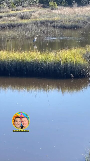 WATCHING SOME PROFESSIONAL FISHERS!