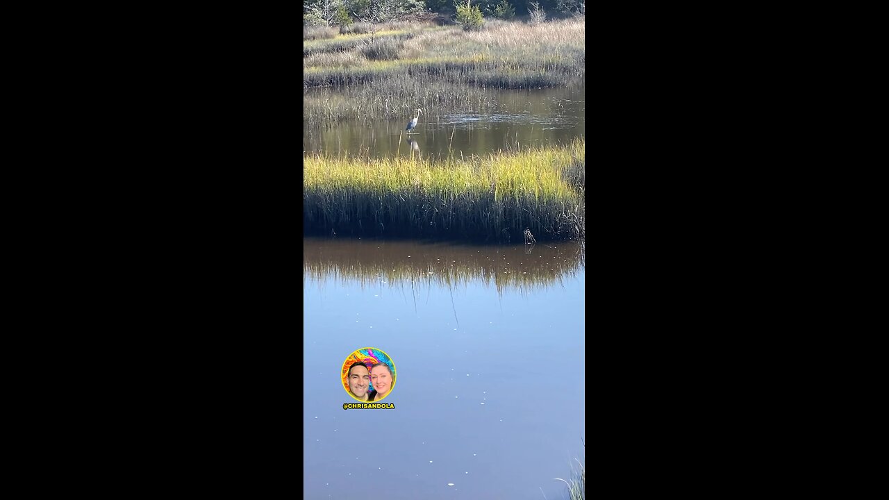 WATCHING SOME PROFESSIONAL FISHERS!