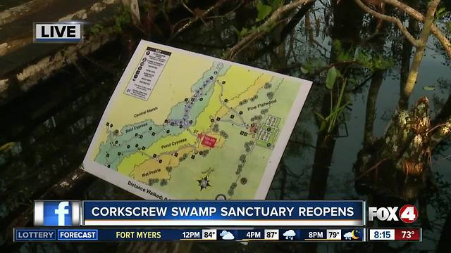 Corkscrew Swamp Sanctuary welcomes volunteers