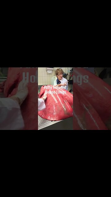 Things that are surprisingly bigger than you think #shorts #youtubeshorts #shortsfeed #viral #facts