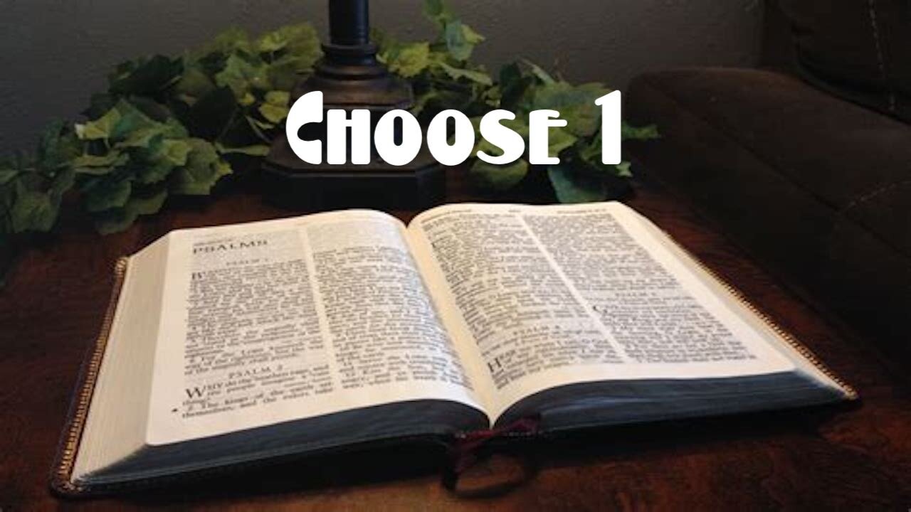 If You Could Be Any One Person In the Bible, Who Would You Choose?