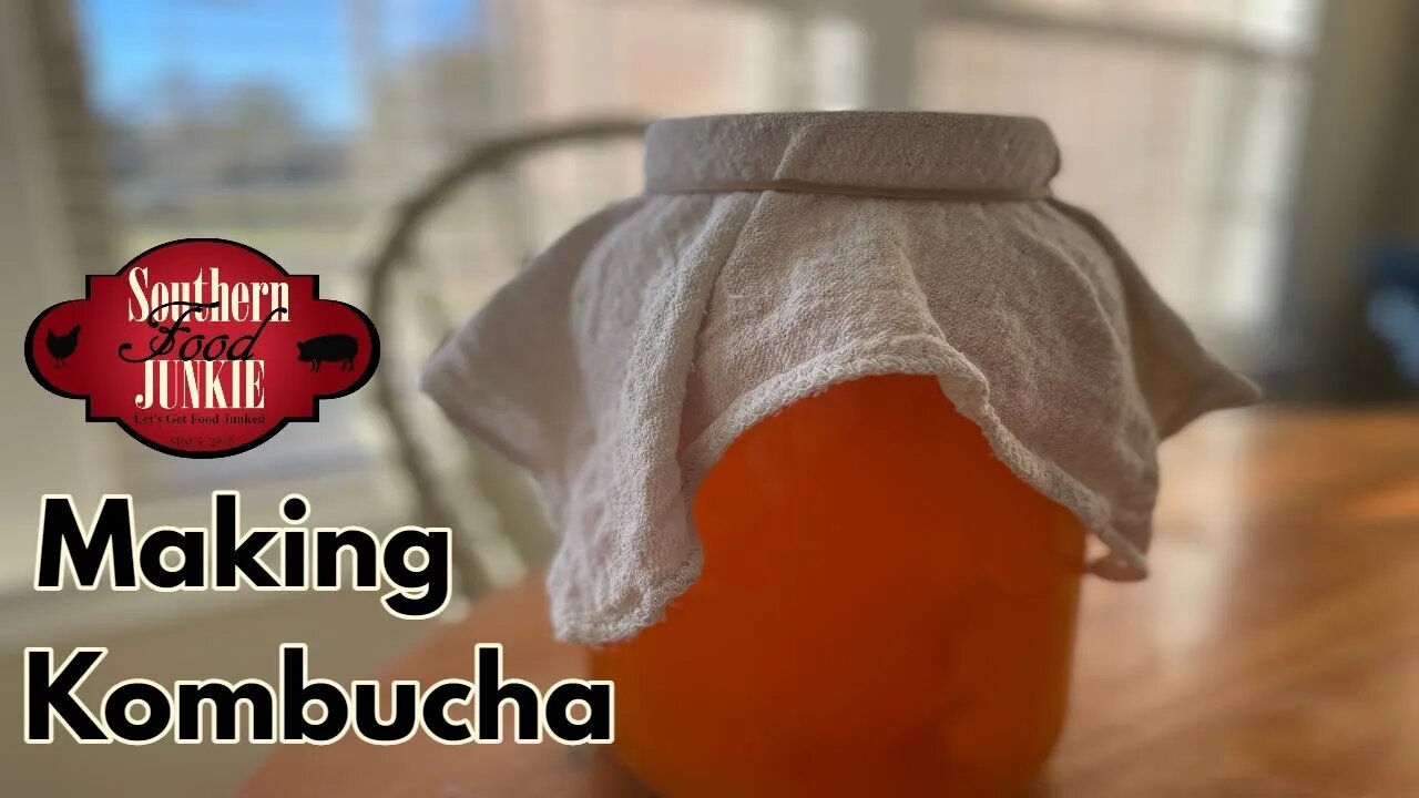 How To Make Kombucha Part 1- The Start