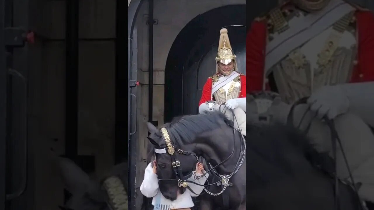 She held the Reins #horseguardsparade