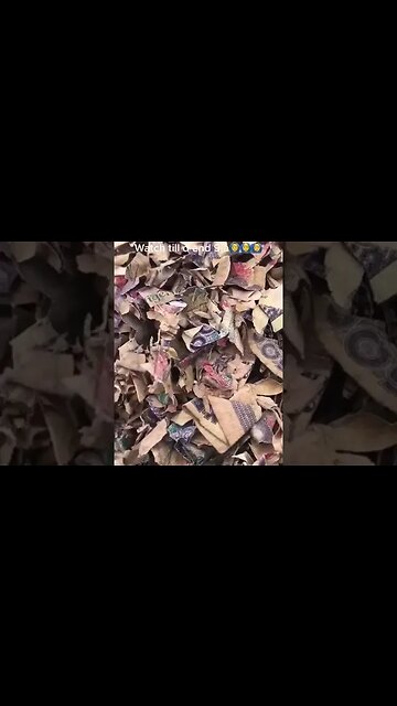 Nigeria is suffering from a shortage of cash in circulation!