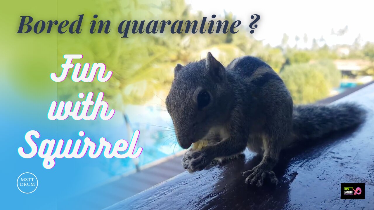 Happy quarantine days with Squirrel