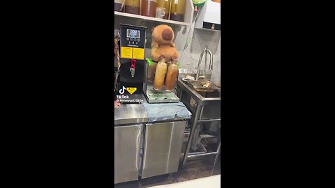 Funny Video