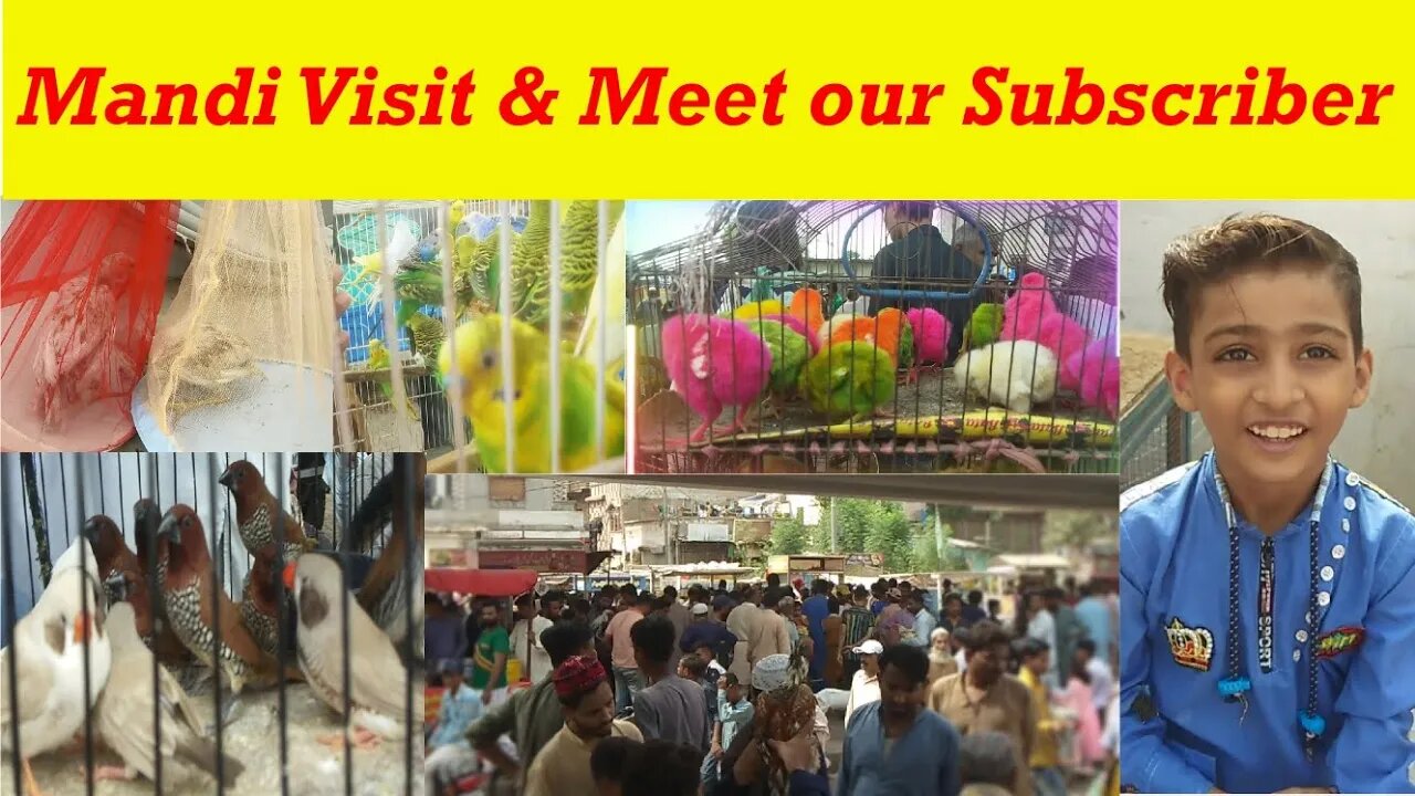 Visiting Mandi & Meet Our Subscriber Or Humne batai apne pets ki khurak ka raaz [@KarachiRoyalPets]