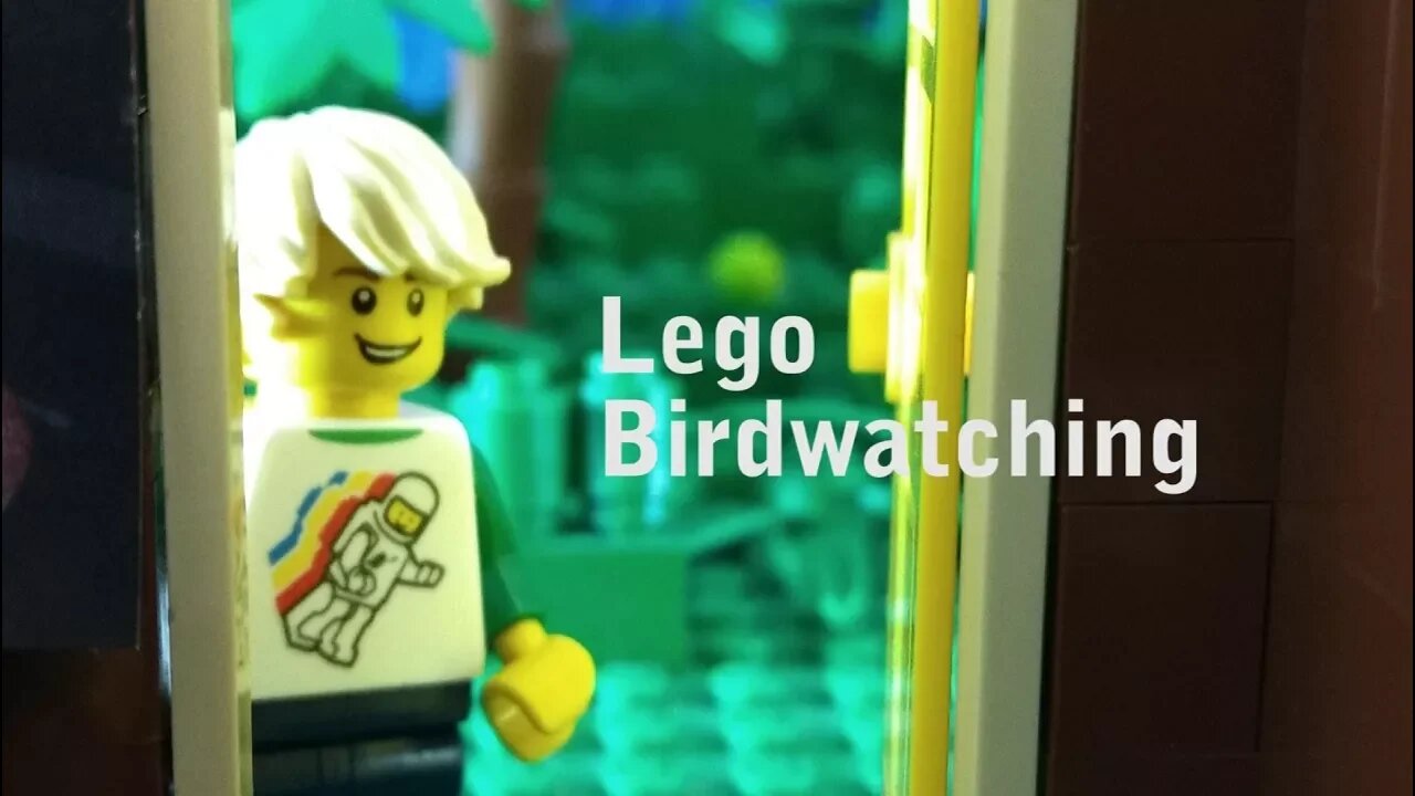 Lego Birdwatching