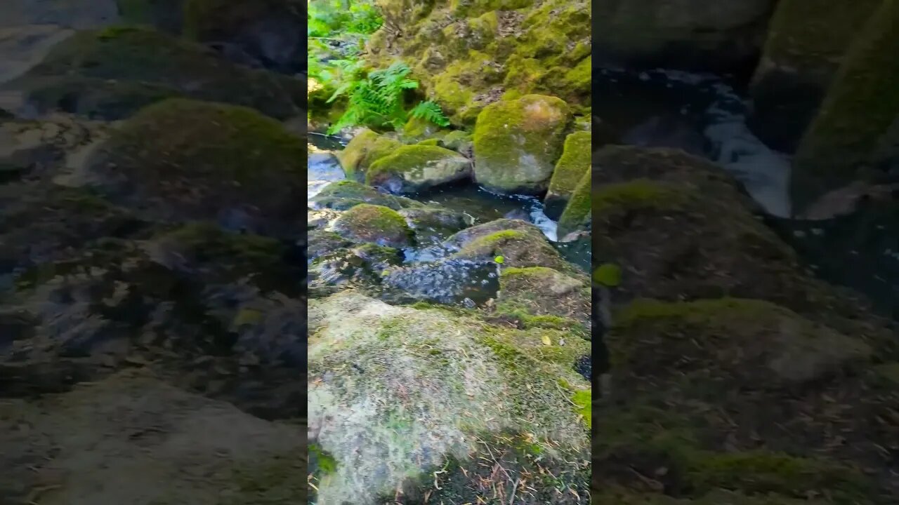 The best feeling is to be between water!!!