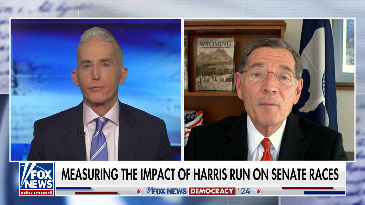 Sen. John Barrasso: Democrats Have Nominated The 'Most Radical Ticket' In The History Of The U.S.