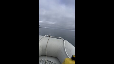 Inflatable fishing 6hp mercury