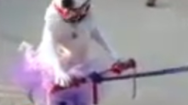 It's A Dog On A Tricycle!