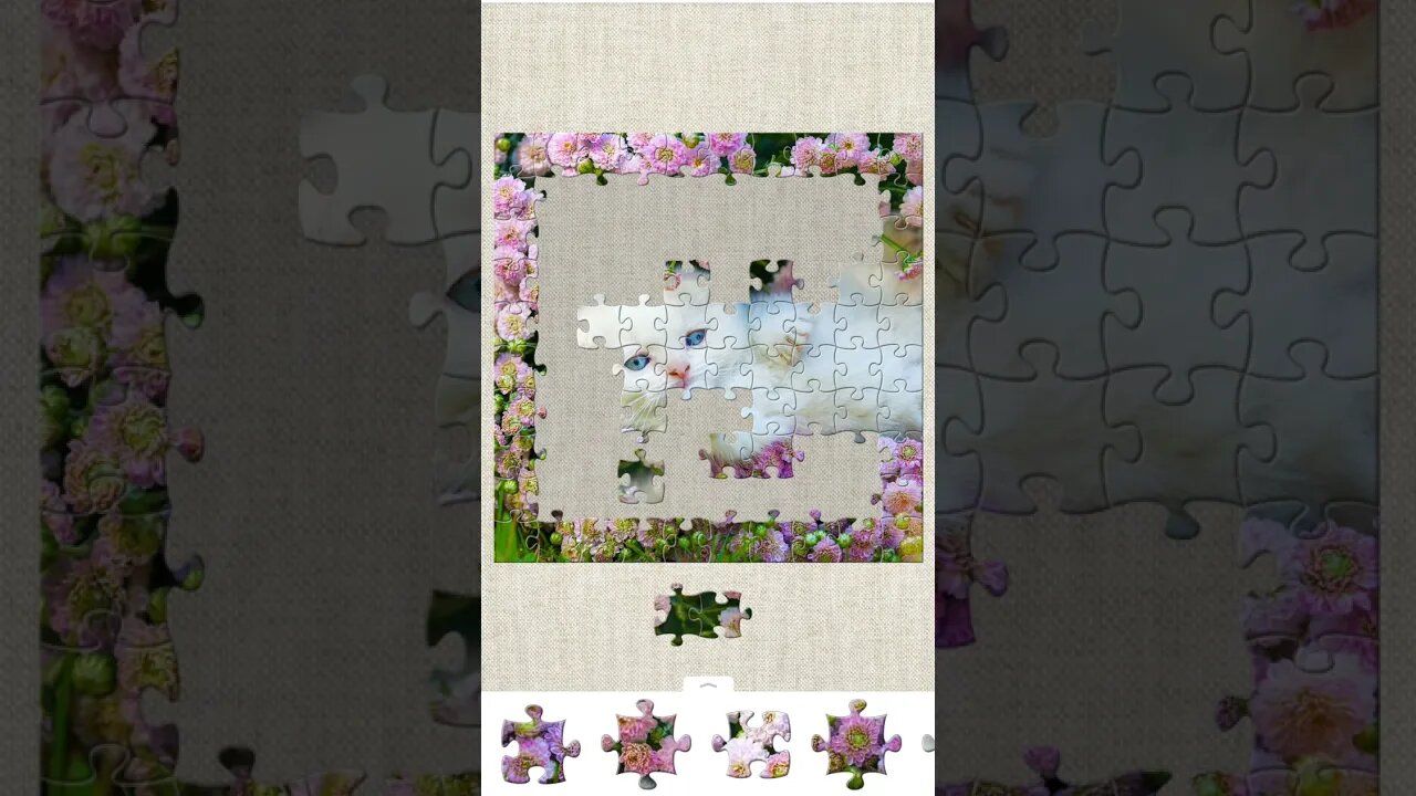 100 piece jigsaw - pretty kitty