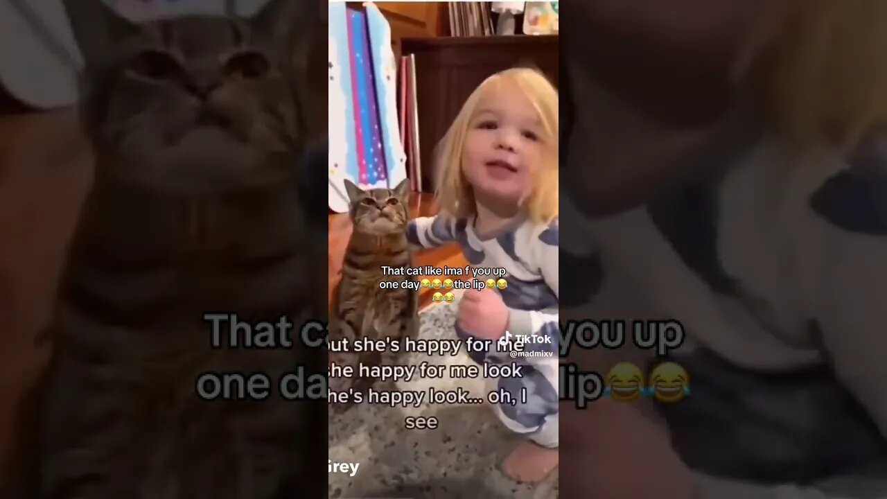 The Cat Was Like I'll Get My Get Back #funny