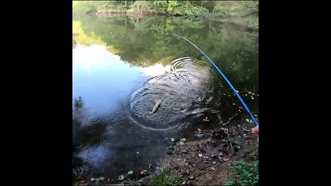 saved me the trouble of unhooking him