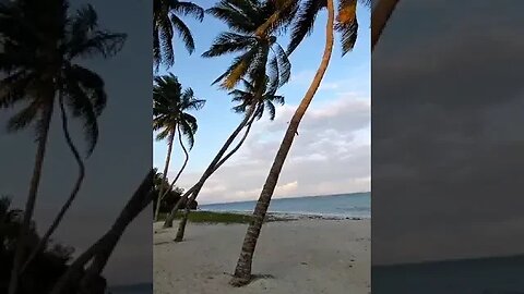 super Relaxing wind sounds on the beach #relaxing #sleep #worldcup #nature #windsounds #beach