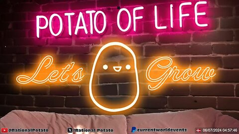 pedtato #2