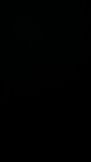 Trump rally in Erie Pennsylvania