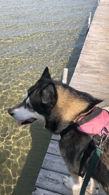 Friday Oct 11, The perishable must Cloths itself with the imperishable