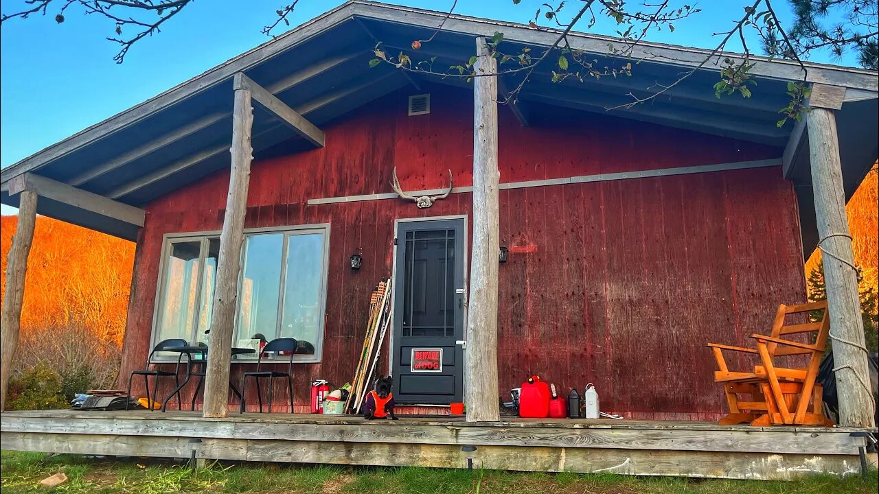 OFF GRID CABIN Interior RENOVATIONS BEGIN | Trail Cams Triggered