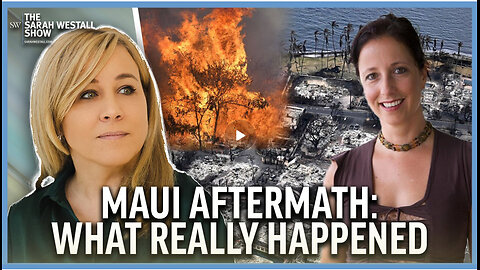 Land Grab Disguised as a Fire and a UN Smart City forced on a People w/ Michelle Melendez